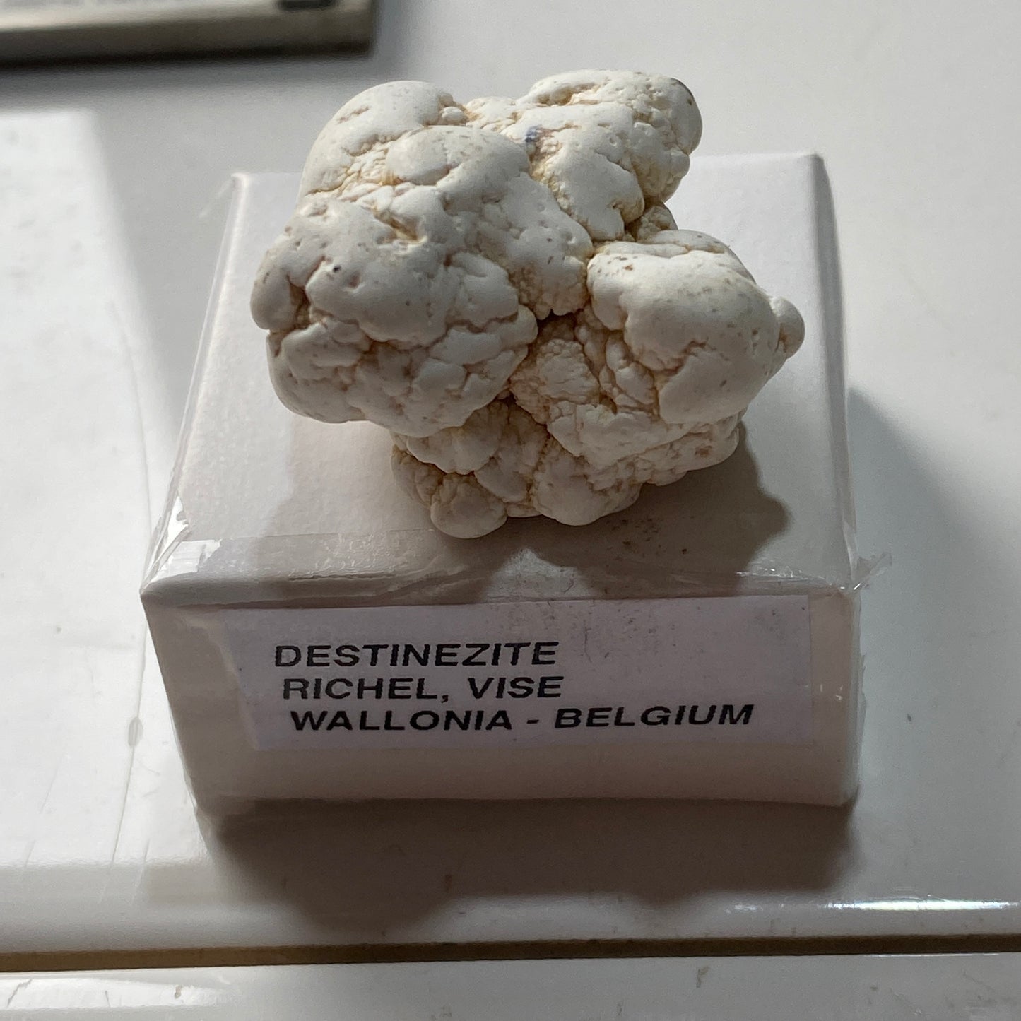 DESTINEZITE : RICHELLE, VISE, WALLONIA, BELGIUM. 19g MF5246