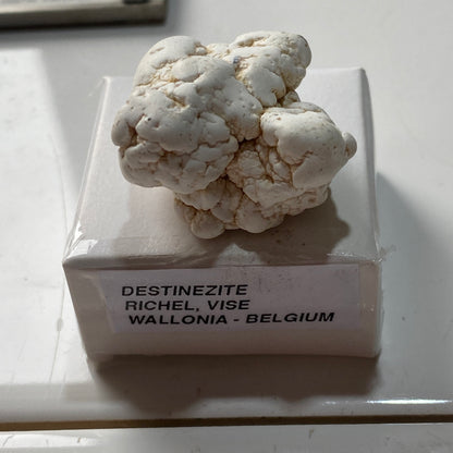 DESTINEZITE : RICHELLE, VISE, WALLONIA, BELGIUM. 19g MF5246