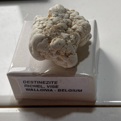 DESTINEZITE : RICHELLE, VISE, WALLONIA, BELGIUM. 19g MF5246