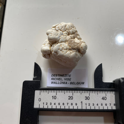 DESTINEZITE : RICHELLE, VISE, WALLONIA, BELGIUM. 19g MF5246