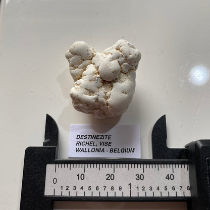 DESTINEZITE : RICHELLE, VISE, WALLONIA, BELGIUM. 19g MF5246