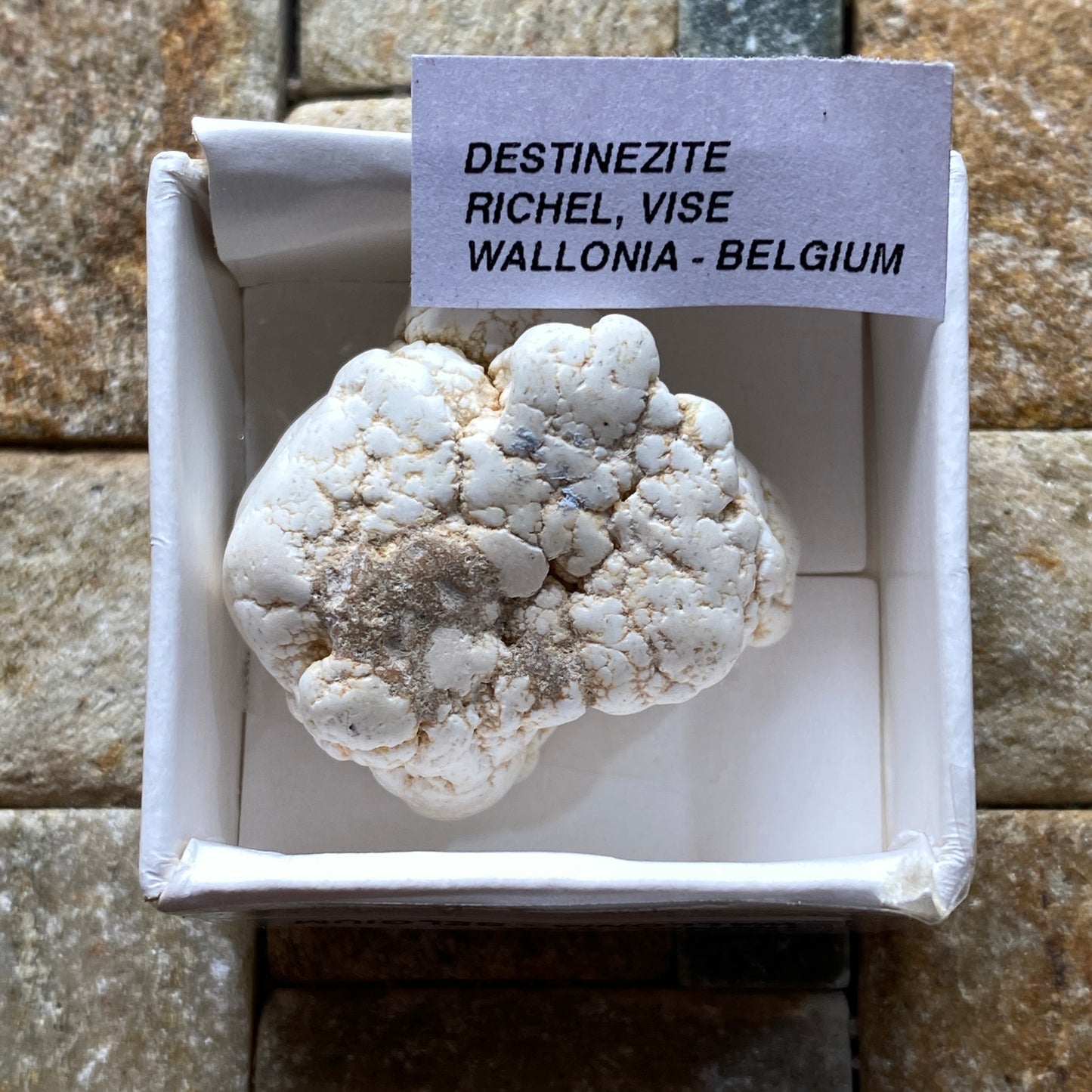 DESTINEZITE : RICHELLE, VISE, WALLONIA, BELGIUM. 19g MF5246