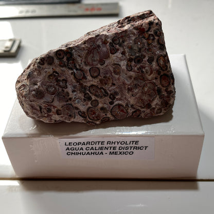 LEOPARDITE RHYOLITE : AGUA CALIENTE DISTRICT, CHIHUAHUA, MEXICO 66g MF5246