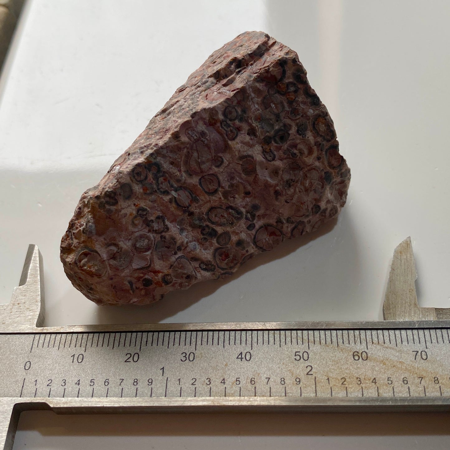 LEOPARDITE RHYOLITE : AGUA CALIENTE DISTRICT, CHIHUAHUA, MEXICO 66g MF5246