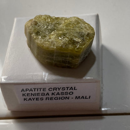 APATITE CRYSTAL L KENEIBA KASSO, KAYES REGION, MALI, AFRICA 13g MF5249