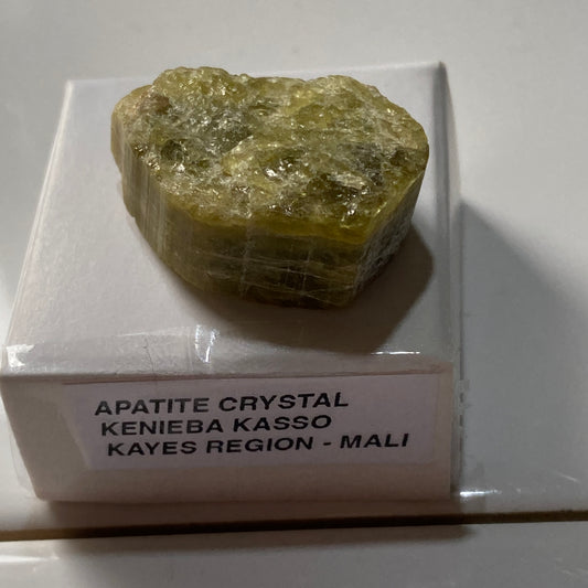 APATITE CRYSTAL L KENEIBA KASSO, KAYES REGION, MALI, AFRICA 13g MF5249