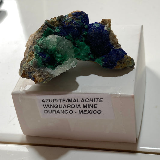 AZURITE & MALACHITE : VANGUARDIA MINE, DURANGO, MEXICO  25g MF5253