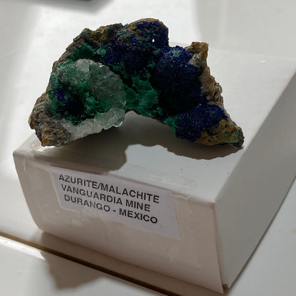 AZURITE & MALACHITE : VANGUARDIA MINE, DURANGO, MEXICO  25g MF5253