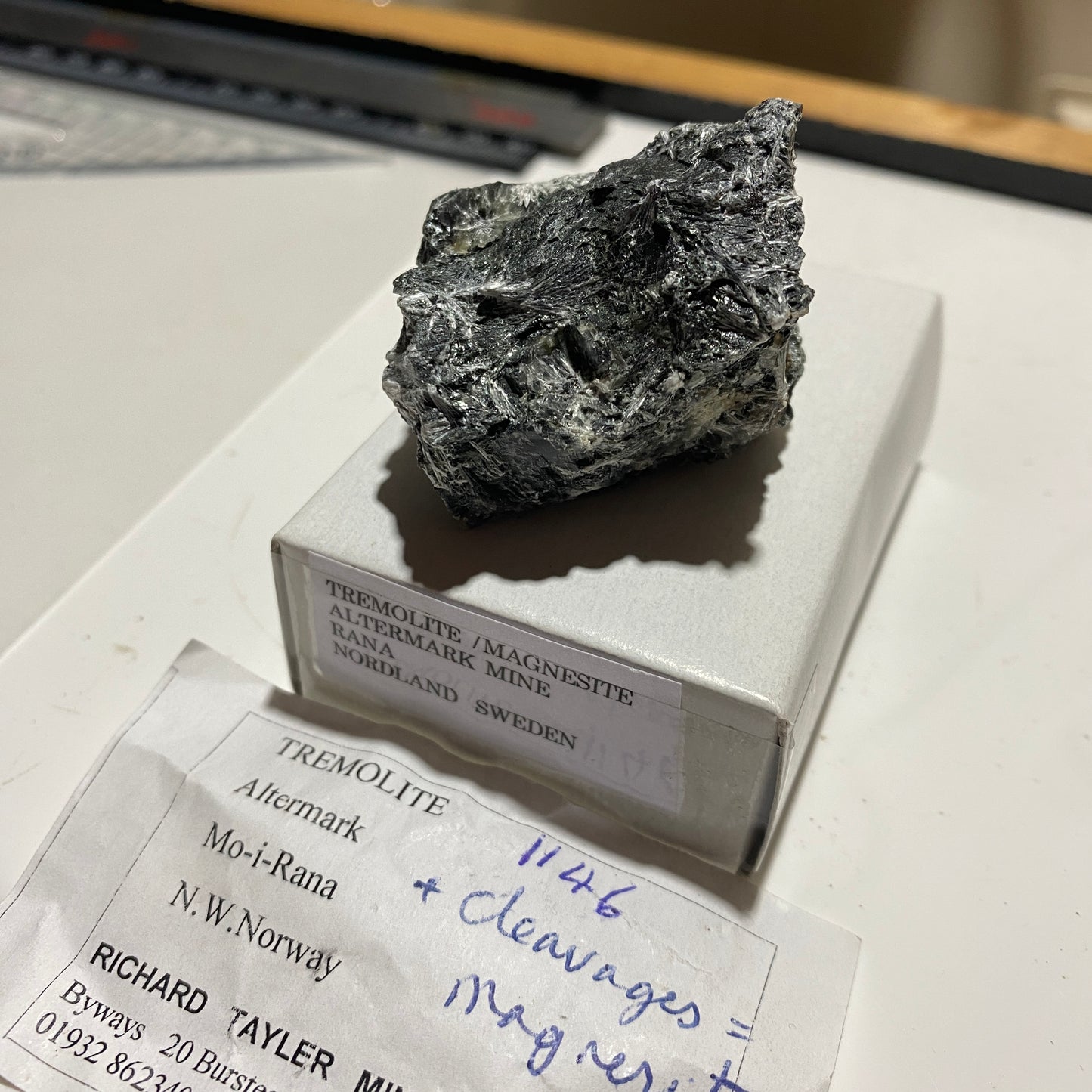 TREMOLITE [ETC] : ALTERMARK MINE, RANA, NORDLAND, SWEDEN  55g MF1675