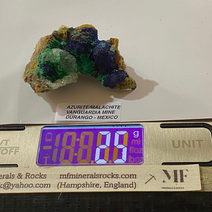 AZURITE & MALACHITE : VANGUARDIA MINE, DURANGO, MEXICO  25g MF5253