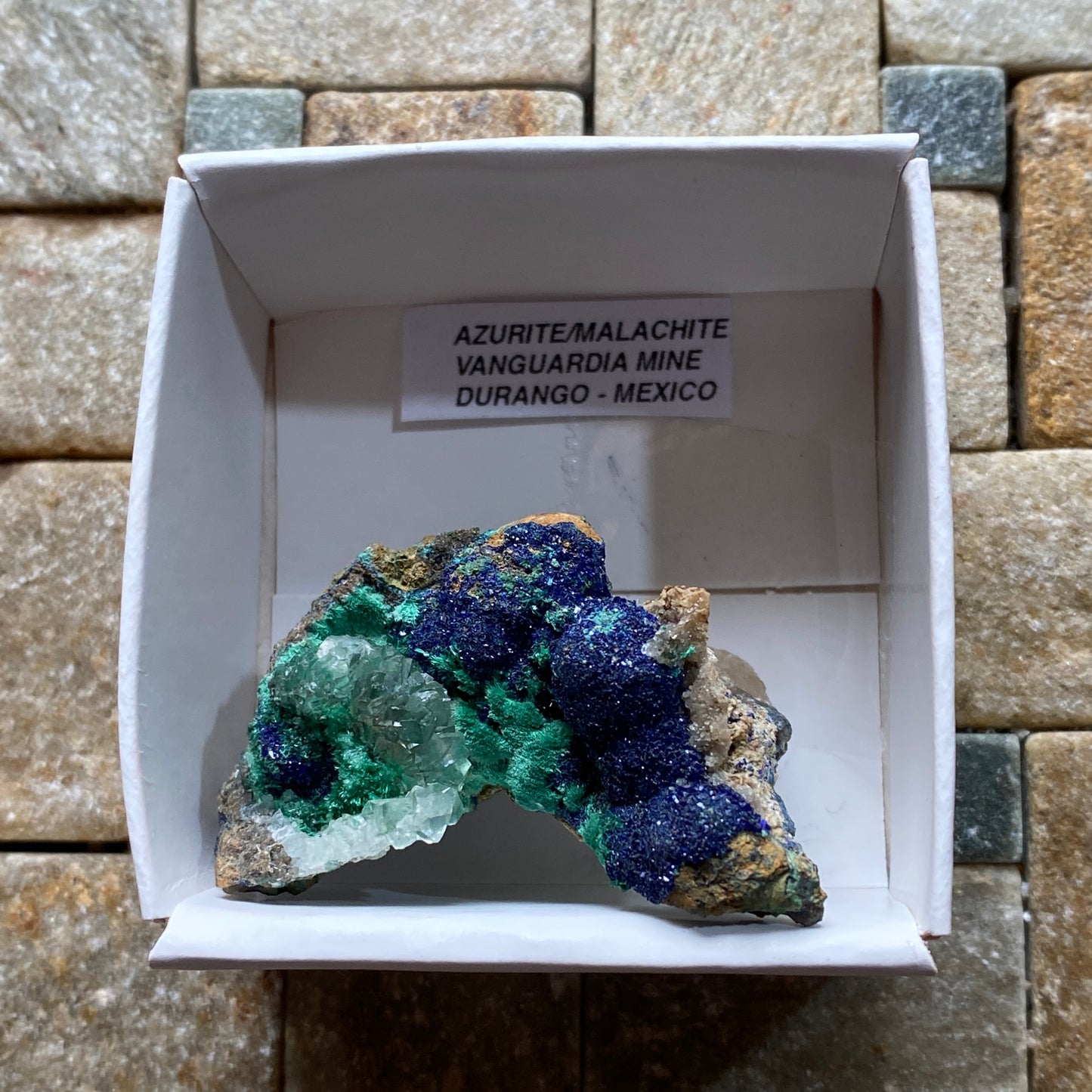 AZURITE & MALACHITE : VANGUARDIA MINE, DURANGO, MEXICO  25g MF5253