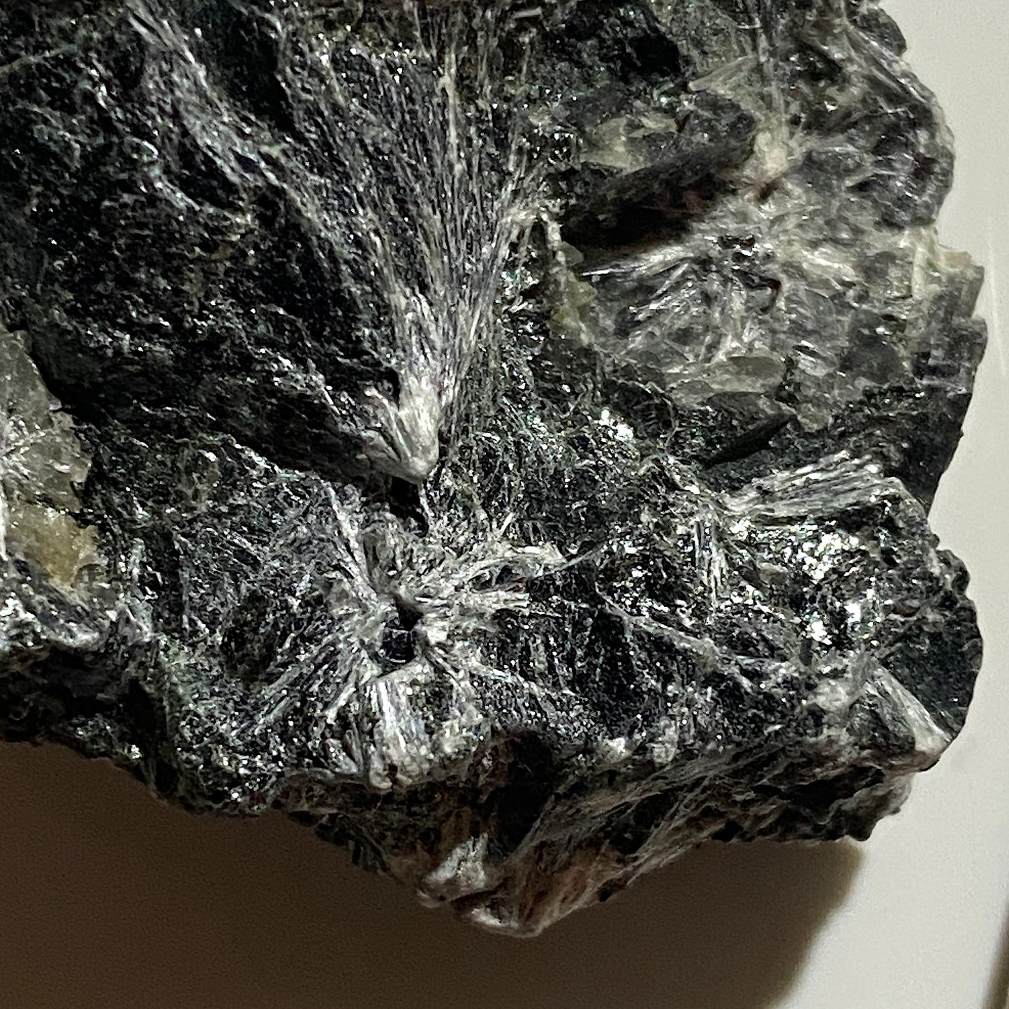 TREMOLITE [ETC] : ALTERMARK MINE, RANA, NORDLAND, SWEDEN  55g MF1675