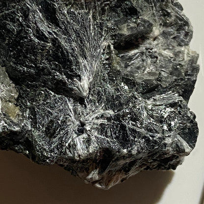 TREMOLITE [ETC] : ALTERMARK MINE, RANA, NORDLAND, SWEDEN  55g MF1675