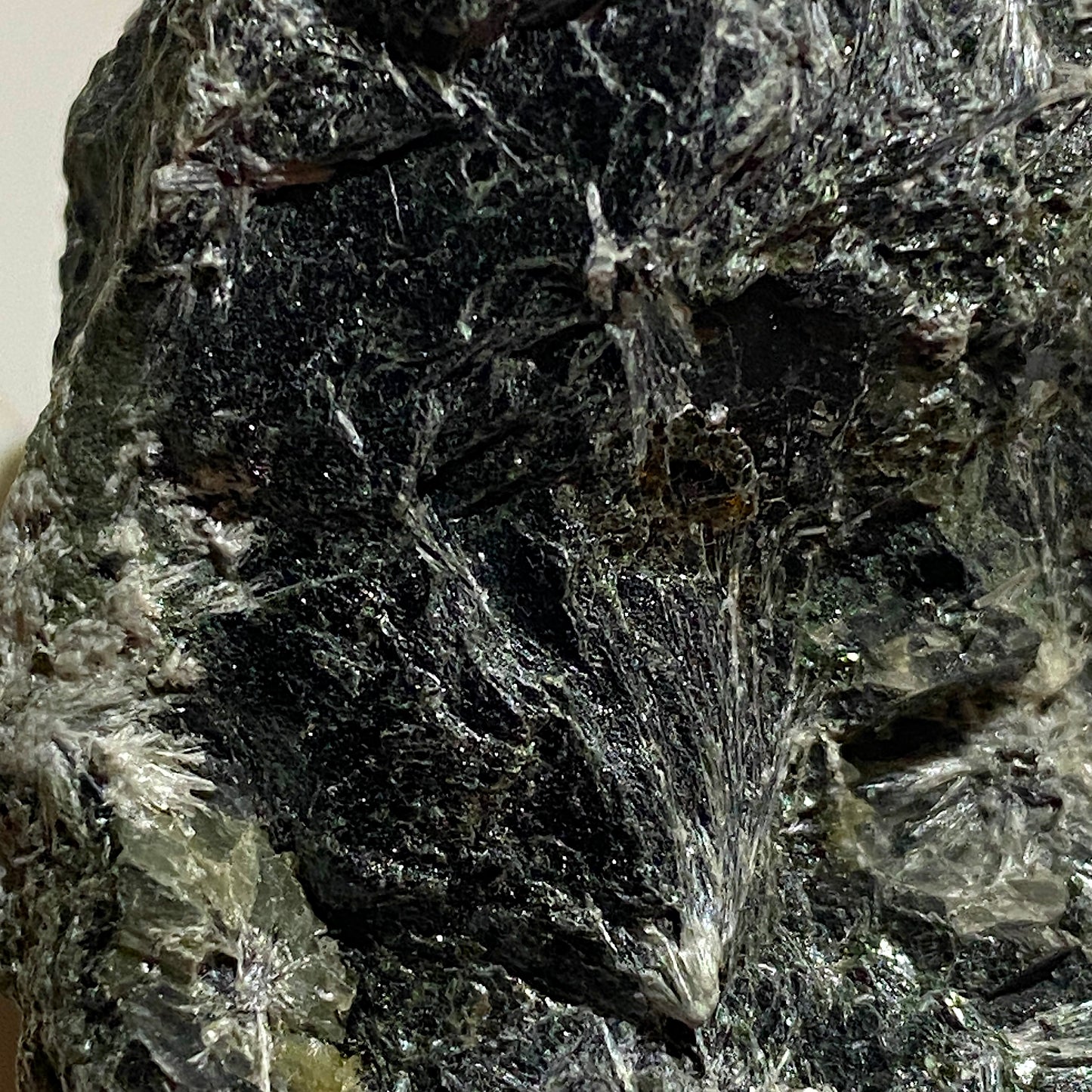 TREMOLITE [ETC] : ALTERMARK MINE, RANA, NORDLAND, SWEDEN  55g MF1675