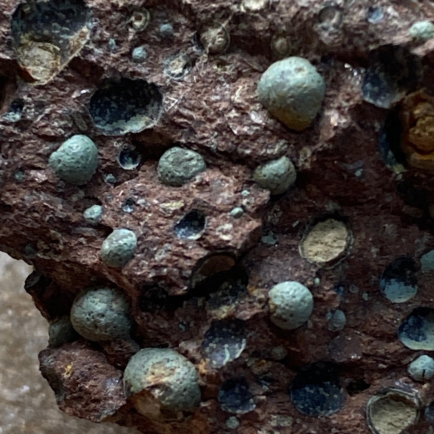 AMYGDALOIDS IN LIMONITE : KEWEENAW PENINSULA, MICHIGAN, U.S.A. 24g MF5255