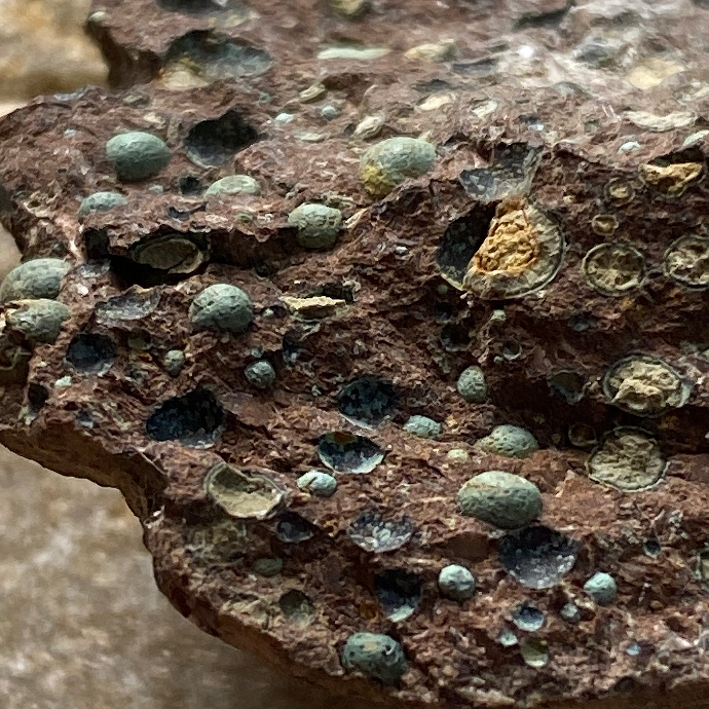 AMYGDALOIDS IN LIMONITE : KEWEENAW PENINSULA, MICHIGAN, U.S.A. 24g MF5255