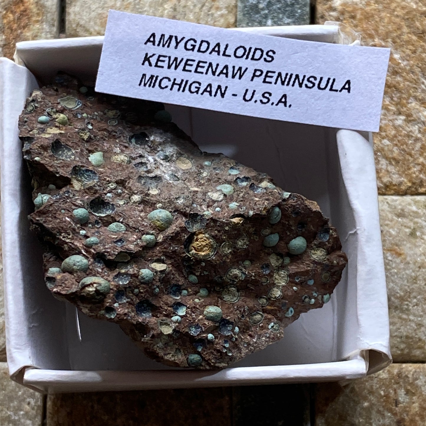 AMYGDALOIDS IN LIMONITE : KEWEENAW PENINSULA, MICHIGAN, U.S.A. 24g MF5255