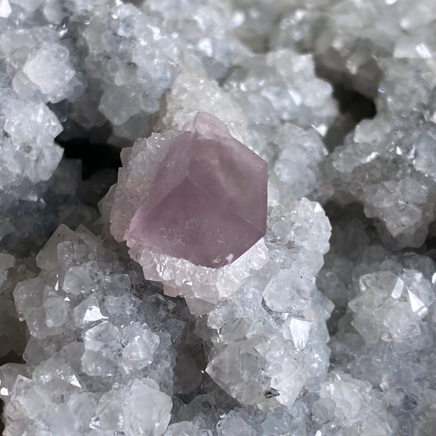 CELESTITE WITH FLUORITE, OKORUSU MINE, NAMIBIA, SUBSTANTIAL 510g MF2067