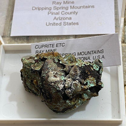 CUPRITE [ETC] : RAY MINE, DRIPPING SPRING MTS. PINAL CO. ARIZONA U.S.A. 18g MF1745