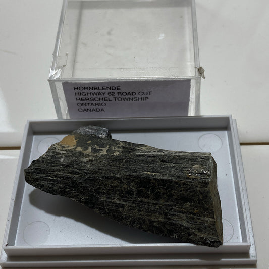 HORNEBLENDE : HIGHWAY 62 ROADCUT, HERSCHEL TOWNSHIP, ONTARIO, CANADA 16g MF1714