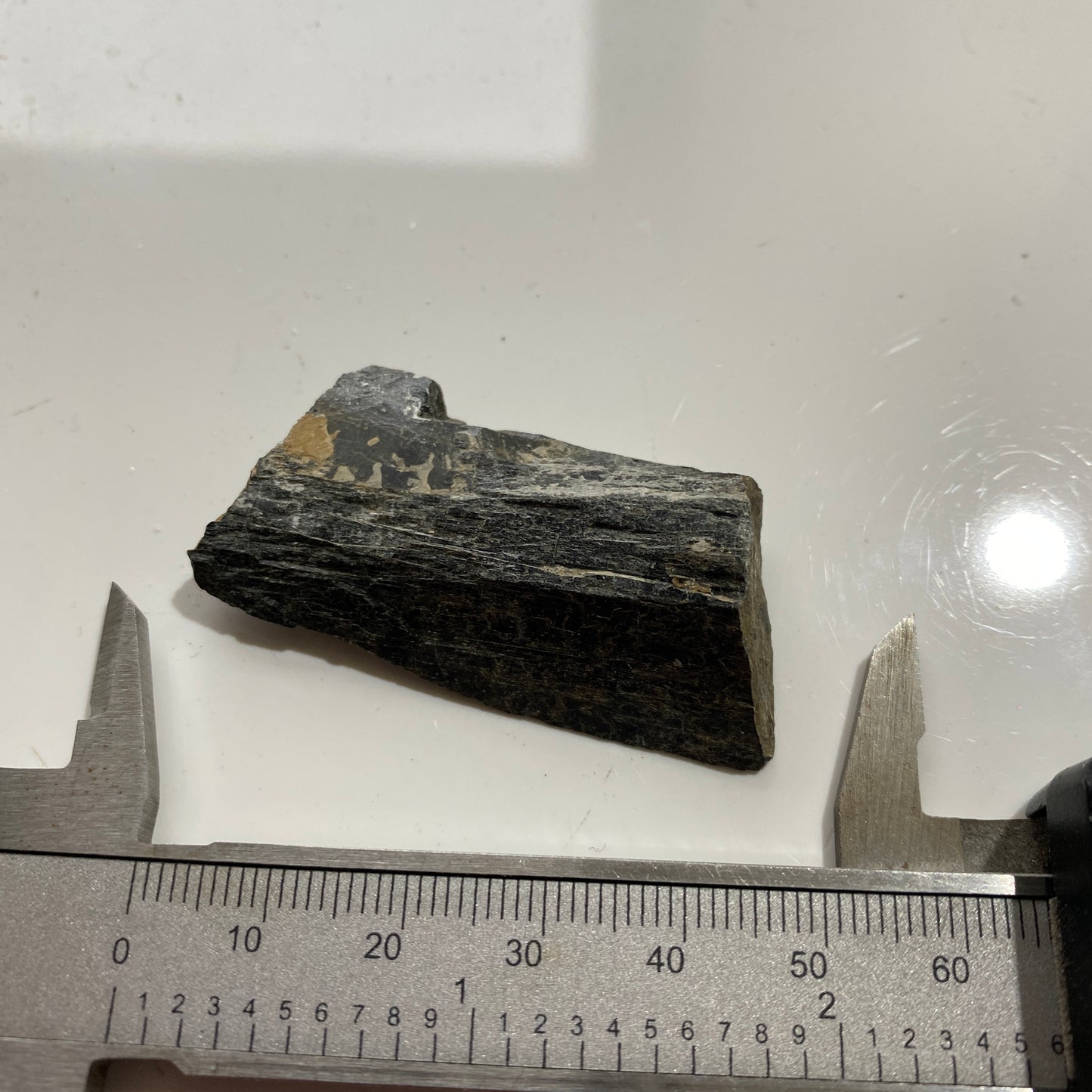 HORNEBLENDE : HIGHWAY 62 ROADCUT, HERSCHEL TOWNSHIP, ONTARIO, CANADA 16g MF1714