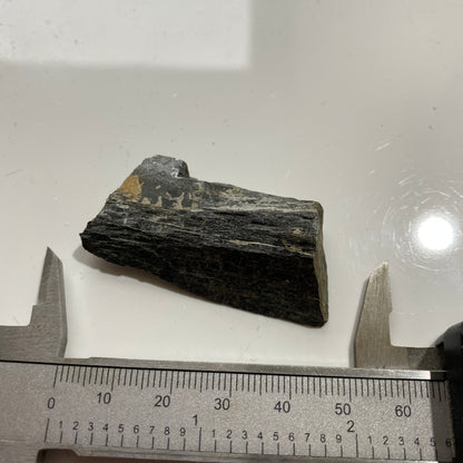 HORNEBLENDE : HIGHWAY 62 ROADCUT, HERSCHEL TOWNSHIP, ONTARIO, CANADA 16g MF1714