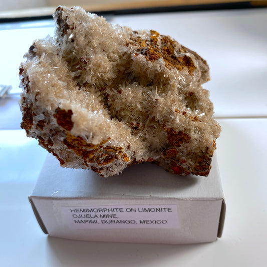 HEMIMORPHITE ON LIMONITE - OJUELA MINE, DURANGO, MEXICO. 142g MF2069