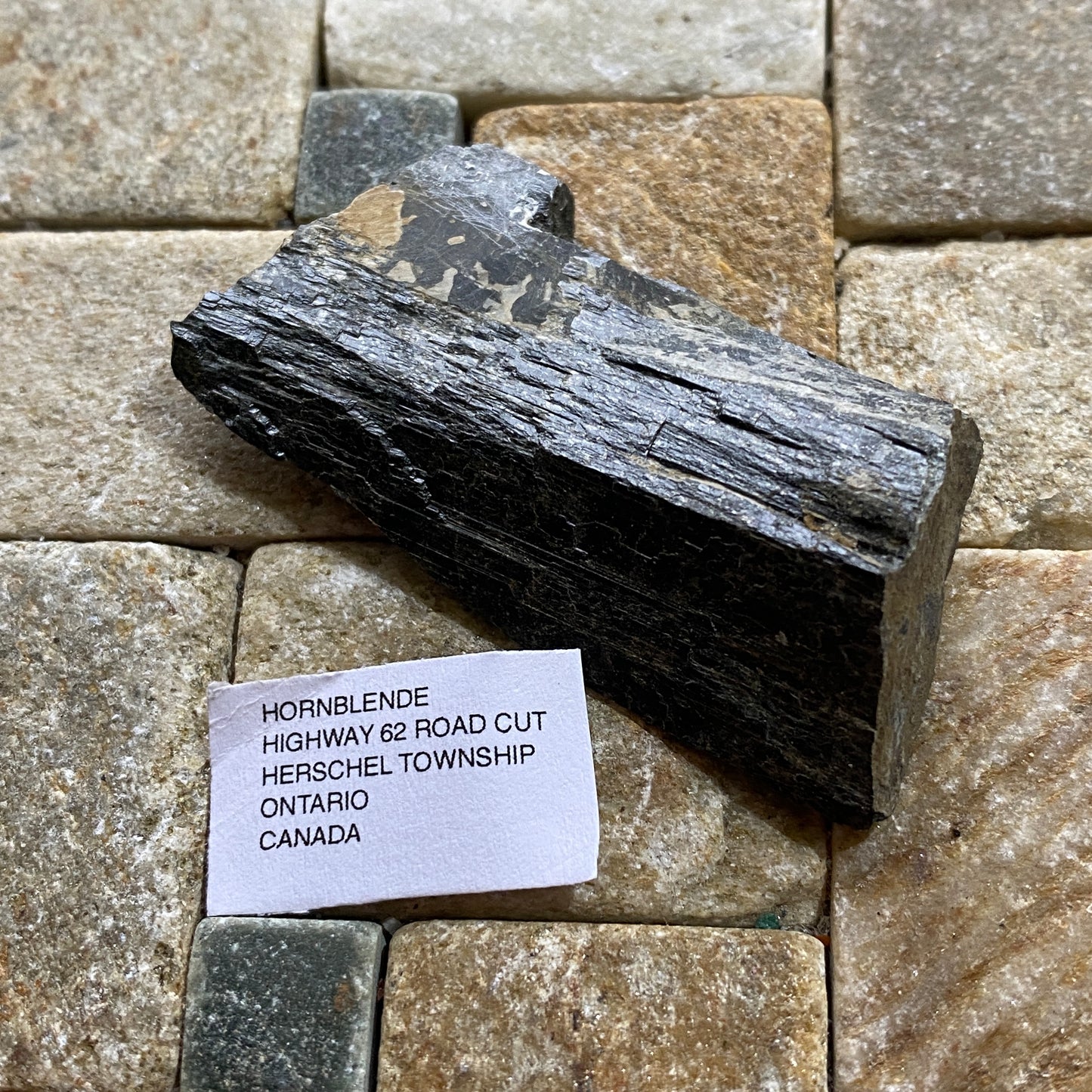 HORNEBLENDE : HIGHWAY 62 ROADCUT, HERSCHEL TOWNSHIP, ONTARIO, CANADA 16g MF1714