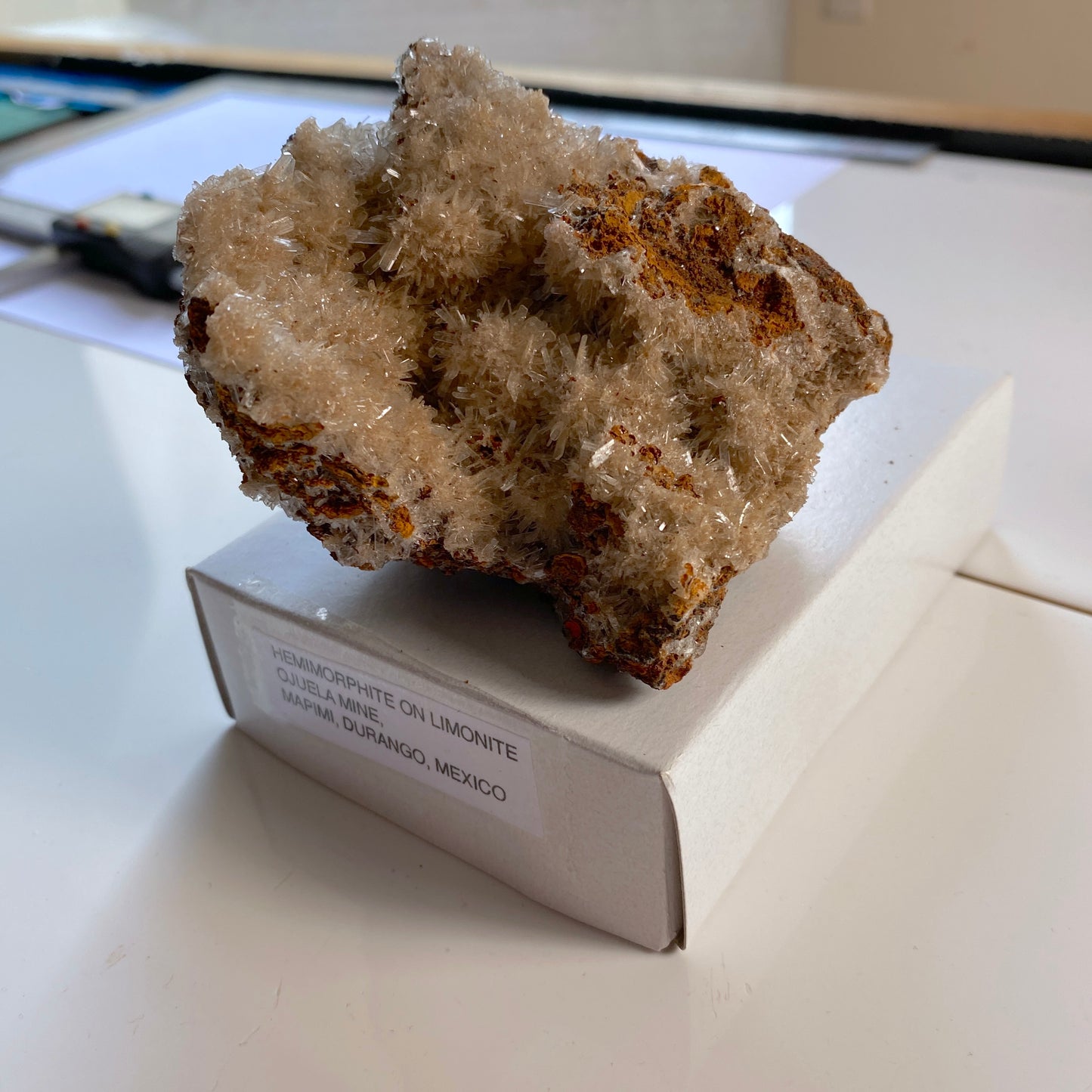 HEMIMORPHITE ON LIMONITE - OJUELA MINE, DURANGO, MEXICO. 142g MF2069