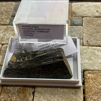 HORNEBLENDE : HIGHWAY 62 ROADCUT, HERSCHEL TOWNSHIP, ONTARIO, CANADA 16g MF1714