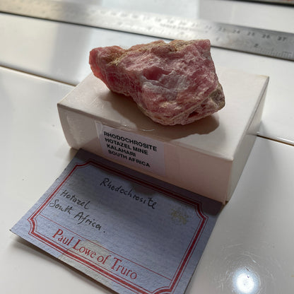 RHODOCHROSITE : HOTAZAL MINE, KALAHARI M,ANGANESE FIELDS, NORTHERN CAPE, SOUTH AFRICA 78g MF5264