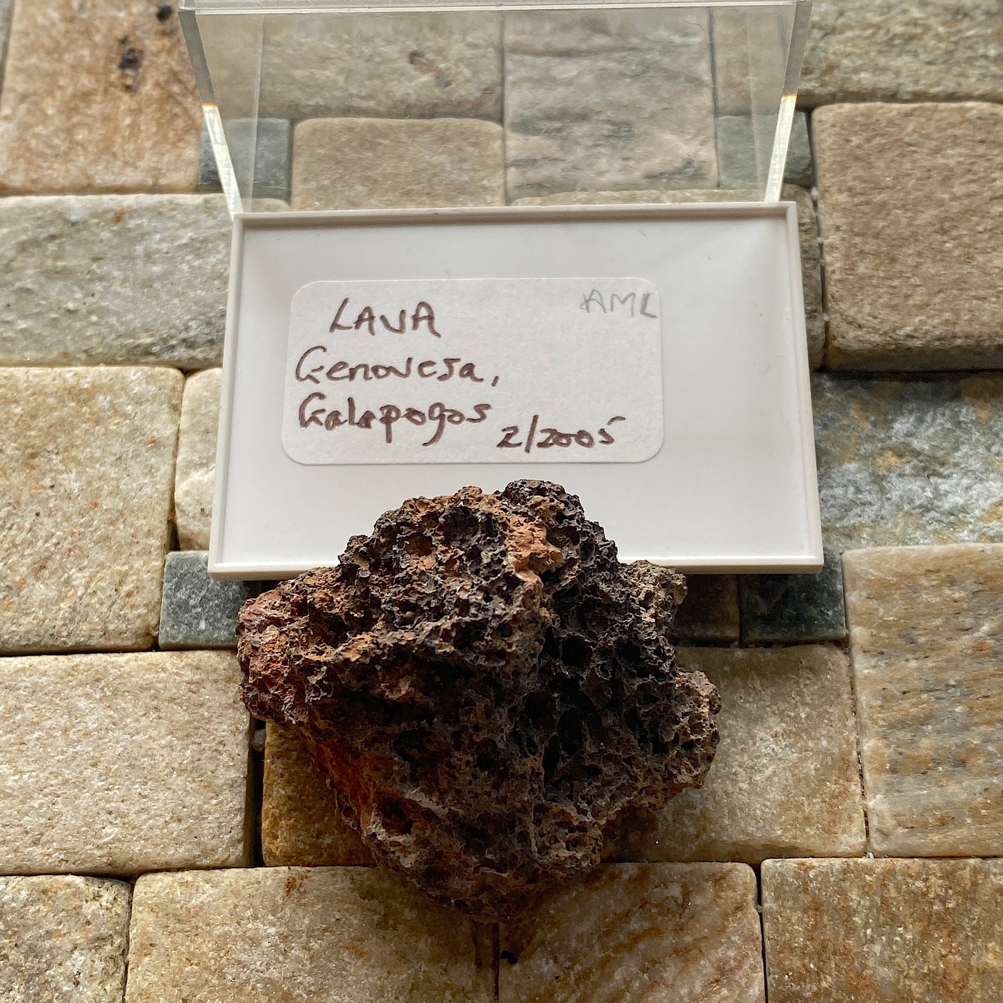LAVA : GENOVESA ISLAND, GALAPOGOS ARCHIPELAGO, PACIFIC 19g MF5266