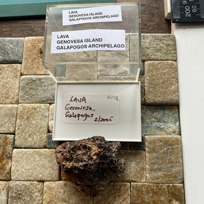 LAVA : GENOVESA ISLAND, GALAPOGOS ARCHIPELAGO, PACIFIC 19g MF5266