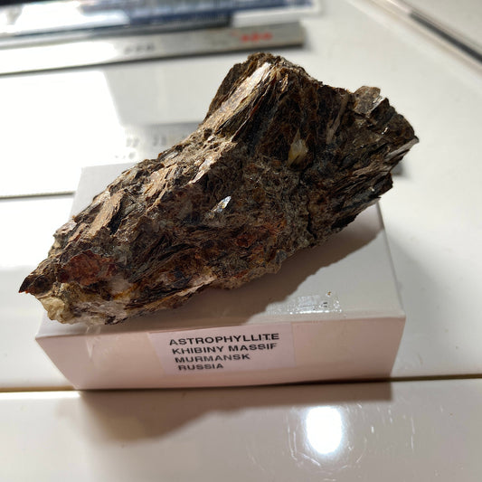 ASTROPHYLLITE : KHIBINY MASSIF, MURMANSK, RUSSIA  116g MF5267