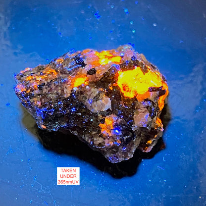 EUDIALYTE [ETC] : KHIBINY MASSIF, KOLA, RUSSIA. 7g MF1749