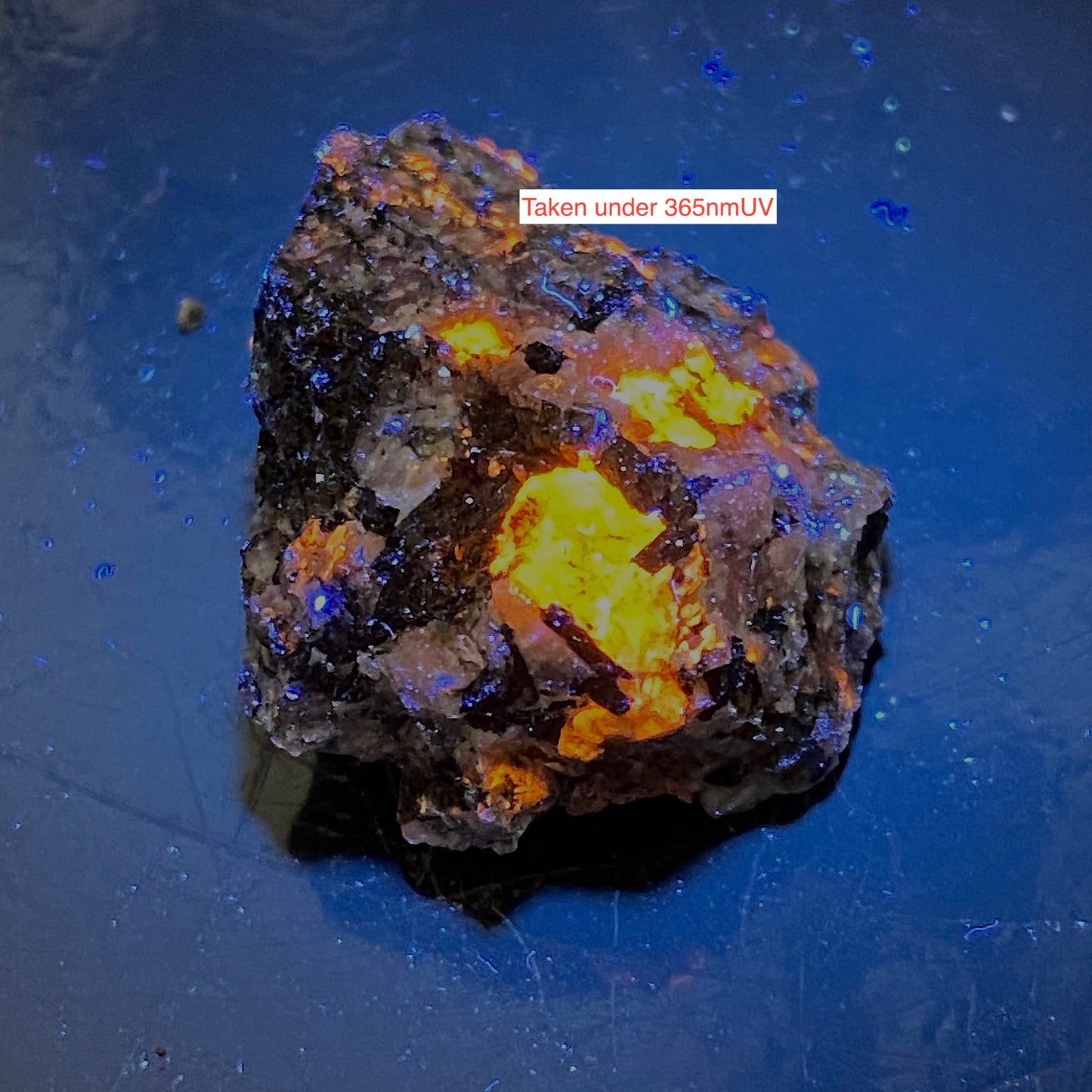 EUDIALYTE [ETC] : KHIBINY MASSIF, KOLA, RUSSIA. 7g MF1749