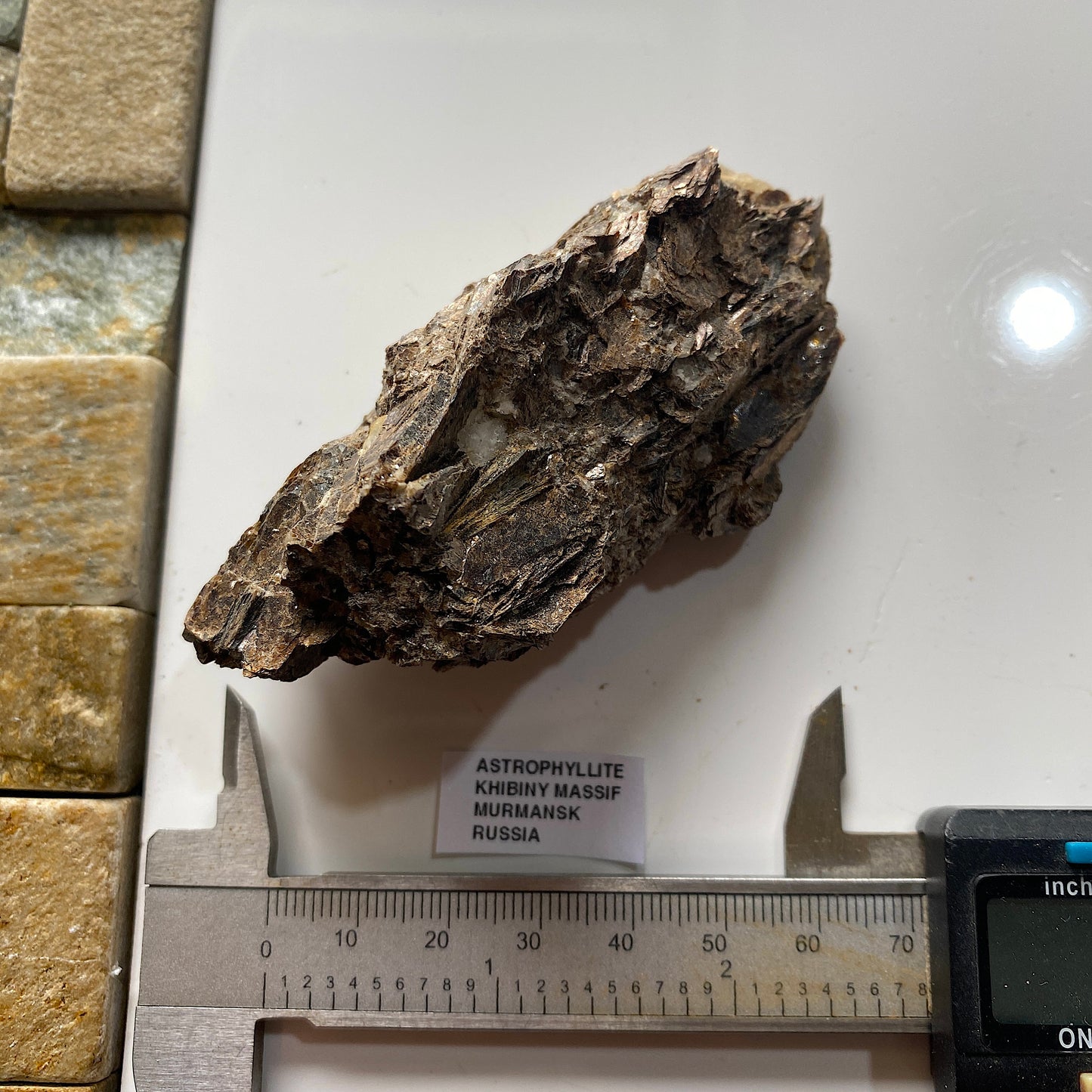 ASTROPHYLLITE : KHIBINY MASSIF, MURMANSK, RUSSIA  116g MF5267