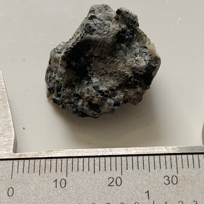 EUDIALYTE [ETC] : KHIBINY MASSIF, KOLA, RUSSIA. 7g MF1749