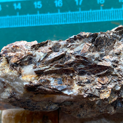 ASTROPHYLLITE : KHIBINY MASSIF, MURMANSK, RUSSIA  116g MF5267