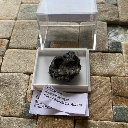 EUDIALYTE [ETC] : KHIBINY MASSIF, KOLA, RUSSIA. 7g MF1749