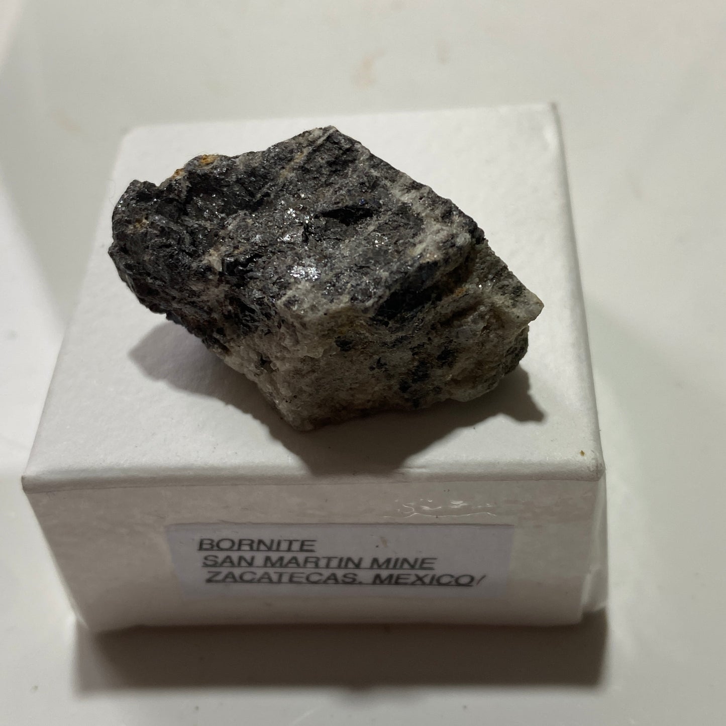 BORNITE [ETC] : SAN MARTIN MINE, ZACATECAS, MEXICO. 23g MF1746