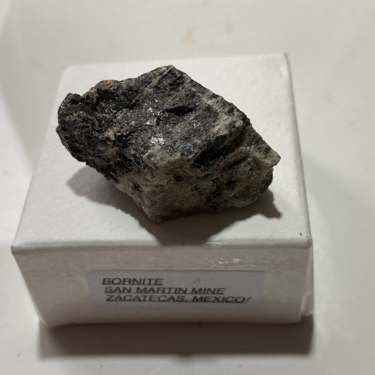 BORNITE [ETC] : SAN MARTIN MINE, ZACATECAS, MEXICO. 23g MF1746