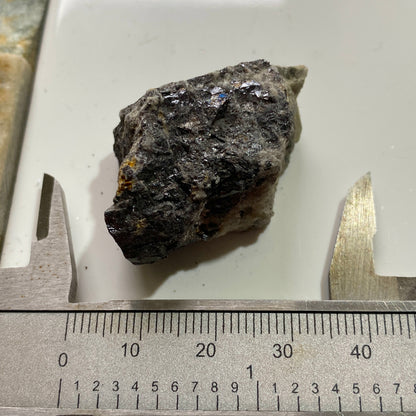 BORNITE [ETC] : SAN MARTIN MINE, ZACATECAS, MEXICO. 23g MF1746