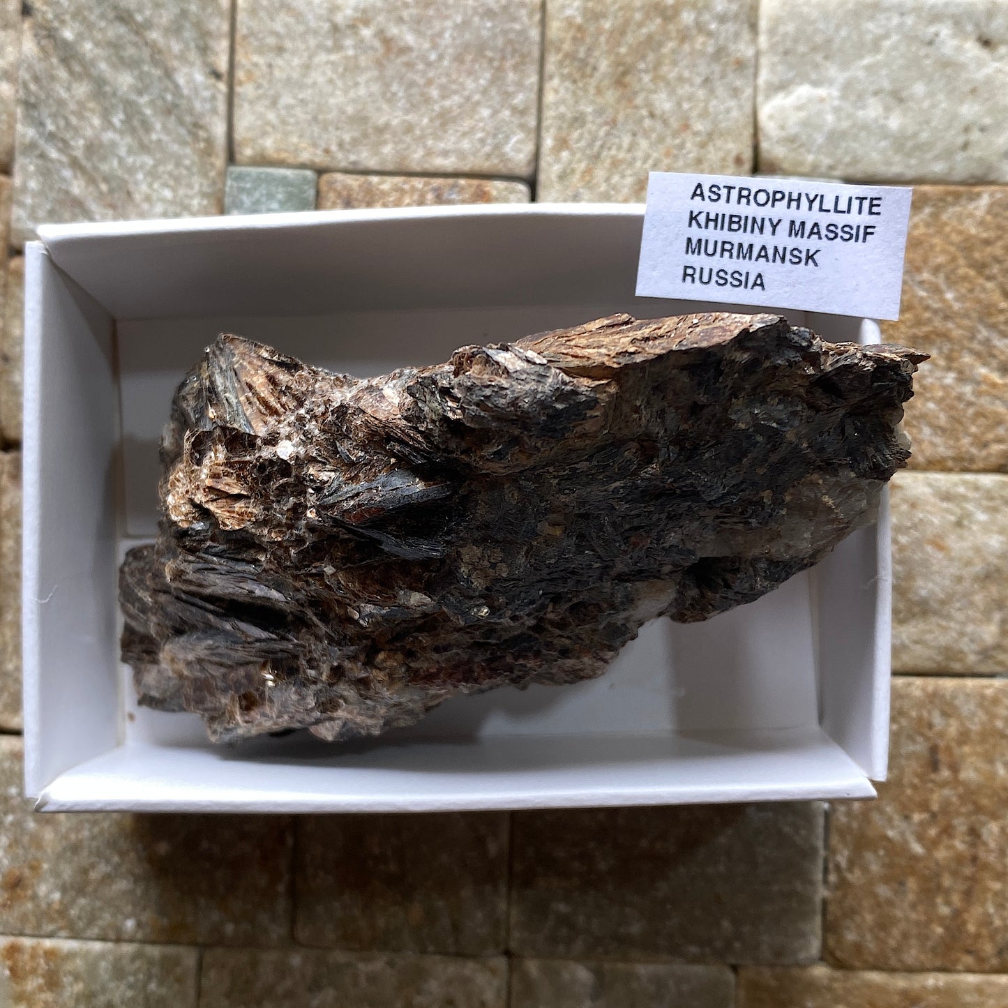 ASTROPHYLLITE : KHIBINY MASSIF, MURMANSK, RUSSIA  116g MF5267