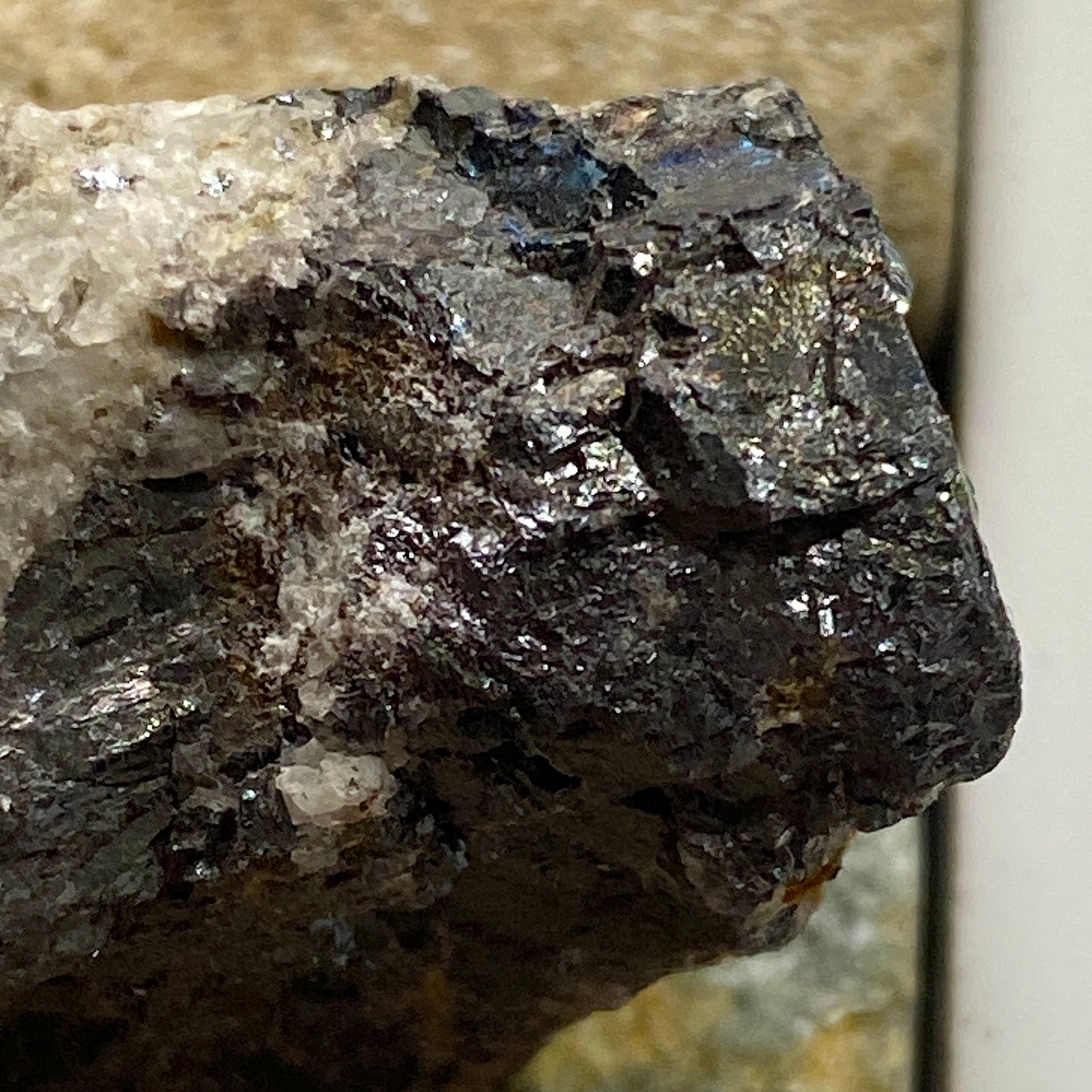 BORNITE [ETC] : SAN MARTIN MINE, ZACATECAS, MEXICO. 23g MF1746