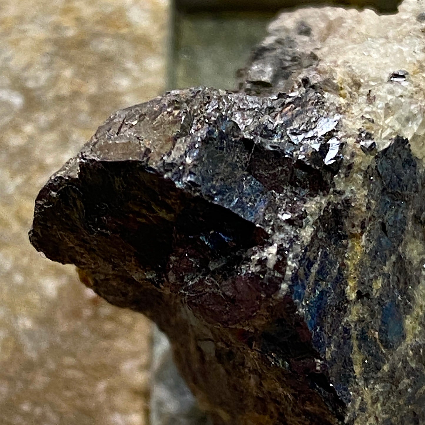 BORNITE [ETC] : SAN MARTIN MINE, ZACATECAS, MEXICO. 23g MF1746