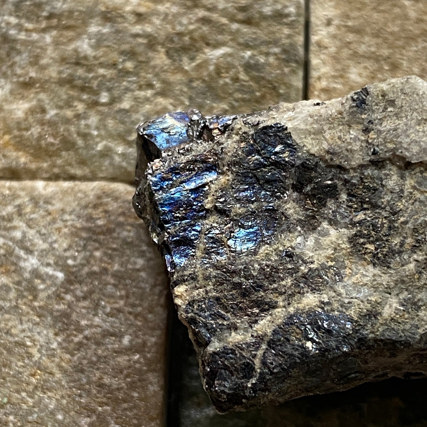 BORNITE [ETC] : SAN MARTIN MINE, ZACATECAS, MEXICO. 23g MF1746