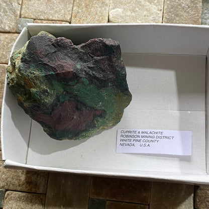 CUPRITE & MALACHITE [ETC] : ROBINSON MINING DISTRICT, NEVADA, U.S.A. 222g MF1750