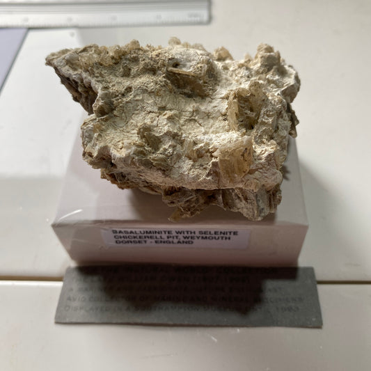 BASALUMINITE WITH SELENITE - CHICKERELL PIT, WEYMOUTH, DORSET 99g MF6919