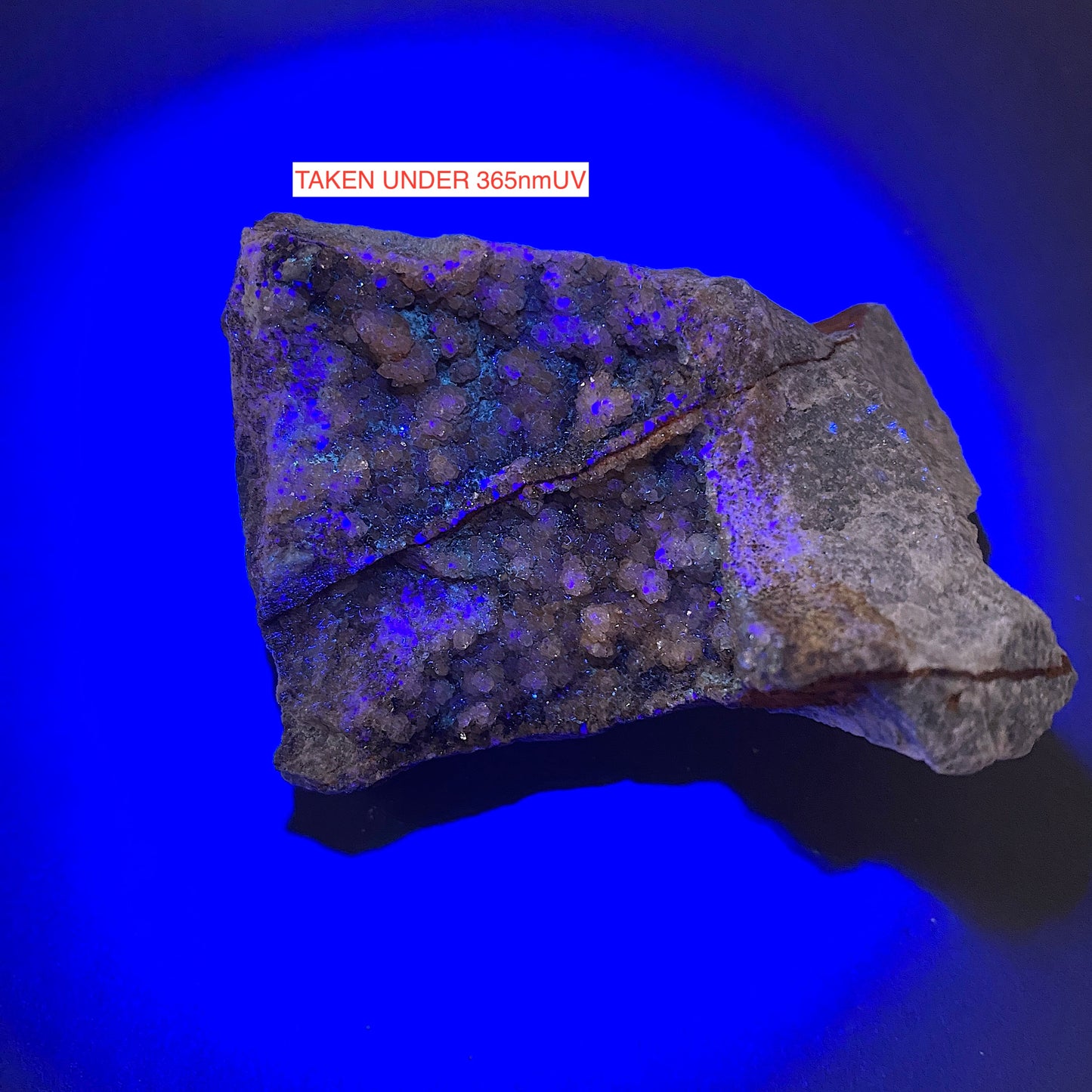 QUARTZ ON FLUORITE MATRIX  FROM HILTON MINE, SCORDALE, CUMBRIA  235g MF1825